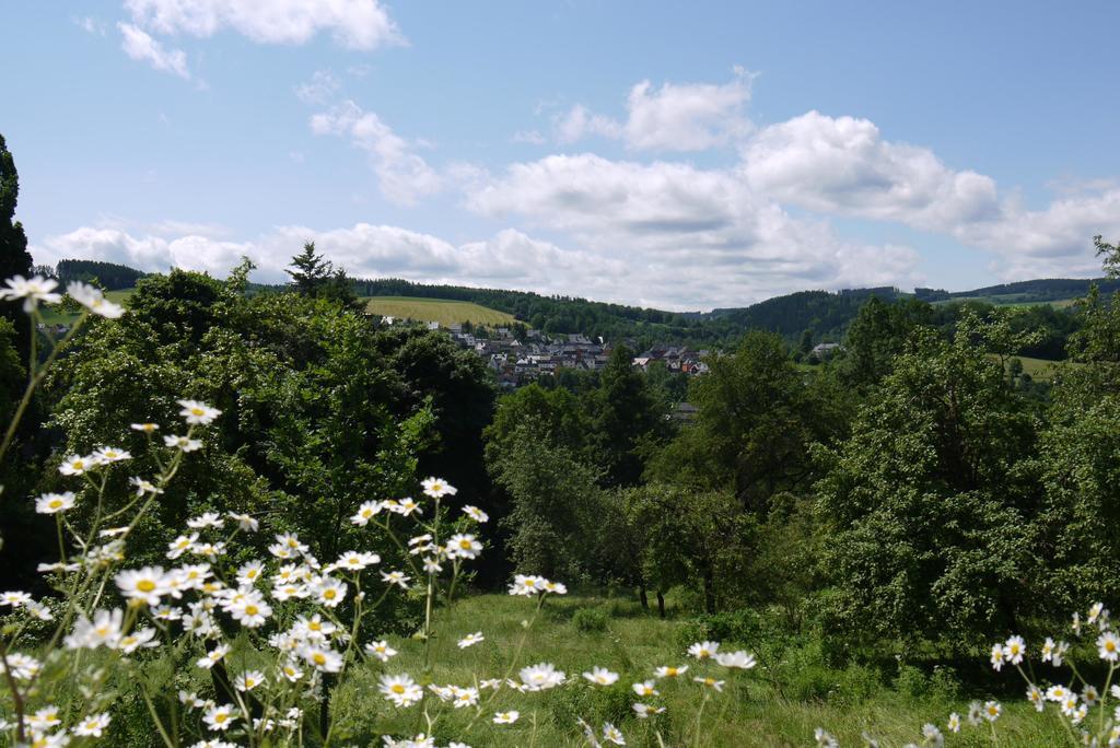 Parkhotel Schwarzenberg - Garni Экстерьер фото