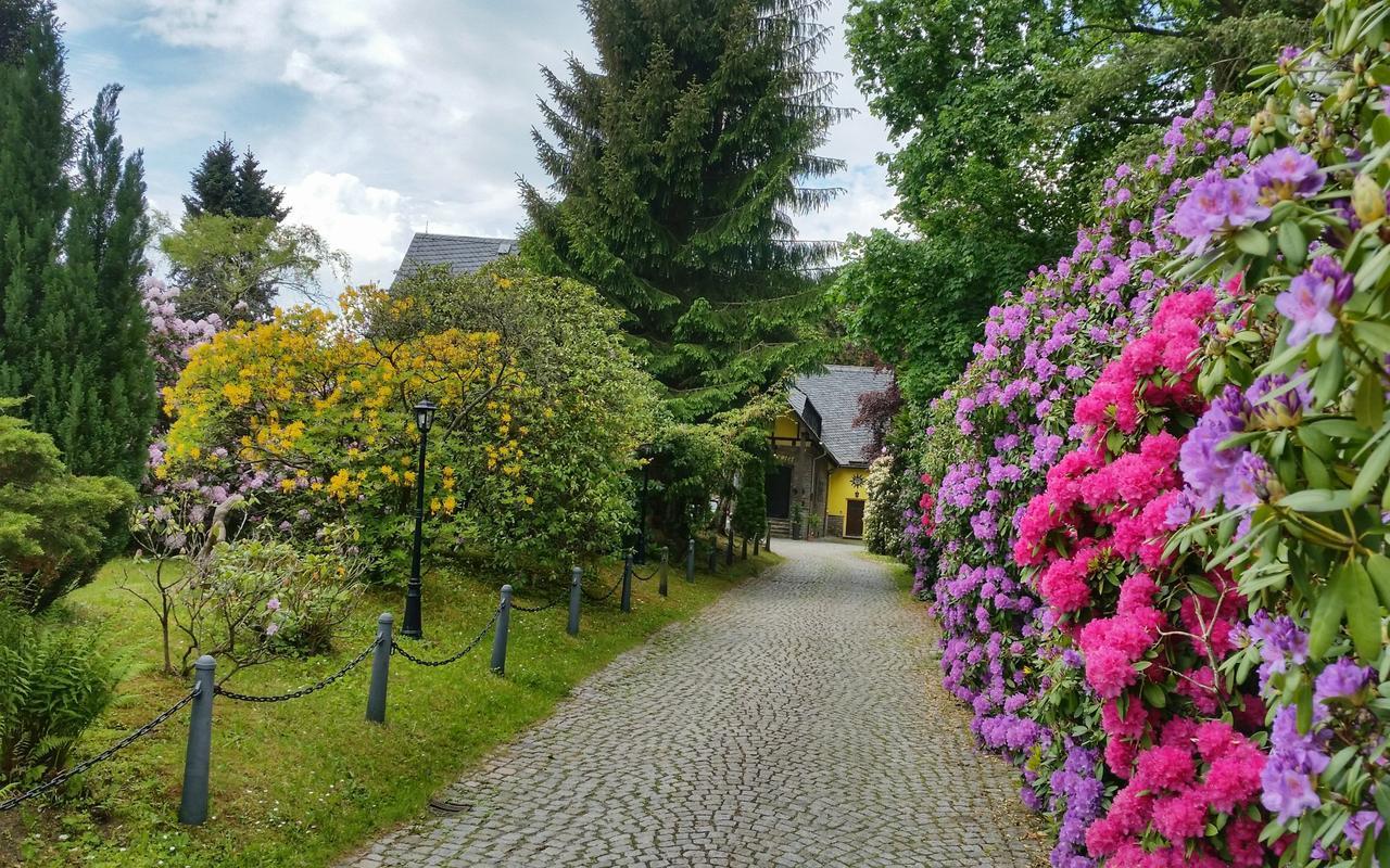 Parkhotel Schwarzenberg - Garni Экстерьер фото